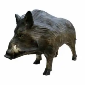 Dervos formos